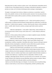 Audito įmonės verslo etika 9 puslapis