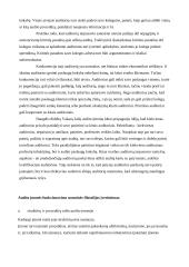 Audito įmonės verslo etika 10 puslapis