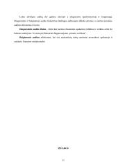 Audito rūšys 11 puslapis