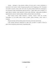 Audito rūšys 12 puslapis