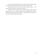 Auditoriaus elgesio etika 16 puslapis