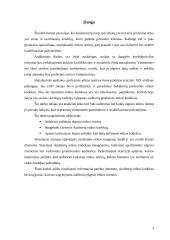 Auditoriaus elgesio etika 3 puslapis