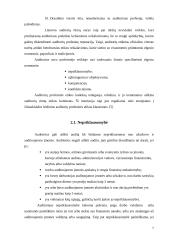 Auditoriaus elgesio etika 7 puslapis