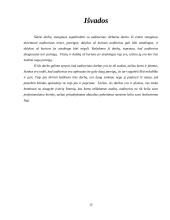 Auditorių teisės, pareigos ir atsakomybė 12 puslapis