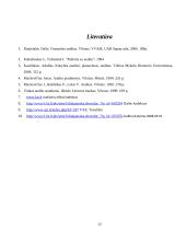 Auditorių teisės, pareigos ir atsakomybė 13 puslapis