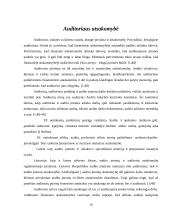 Auditorių teisės, pareigos ir atsakomybė 10 puslapis