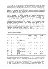 Automobiliniai techniniai skysčiai 5 puslapis