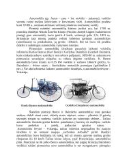 Automobilių gamybos geografija 2 puslapis