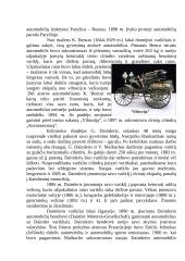 Automobilių gamybos geografija 3 puslapis