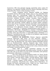 Automobilių gamybos geografija 7 puslapis