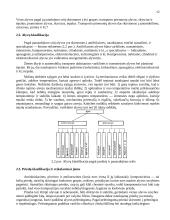Automobilių techninių skysčių tribologinės savybės 12 puslapis