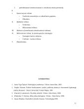 Autoritariniai režimai 11 puslapis