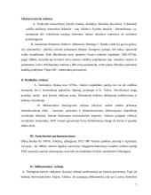 Autoritariniai režimai 7 puslapis