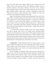 Autoritariniai režimai 8 puslapis