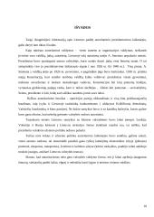 Autoritarinio prezidentavimo ypatybės Lietuvoje 8 puslapis