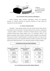 Azotinių trąšų rinkodaros sprendimai: AB "Achema" 11 puslapis