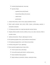 Baimės akys didelės 14 puslapis