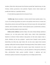 Baimės akys didelės 10 puslapis