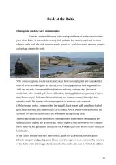 Baltic Sea 15 puslapis