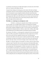 Baltic Sea 16 puslapis