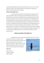 Baltic Sea 17 puslapis