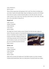 Baltic Sea 18 puslapis