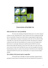 Baltic Sea 5 puslapis