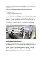 Baltic Sea 6 puslapis