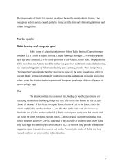 Baltic Sea 7 puslapis