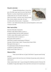 Baltic Sea 8 puslapis