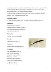 Baltic Sea 9 puslapis