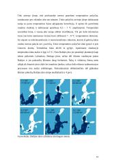 Baltijos jūros hidrologinio baseino topografinės, geomorfologinės, ekologinės charakteristikos 14 puslapis