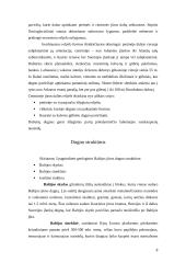 Baltijos jūros hidrologinio baseino topografinės, geomorfologinės, ekologinės charakteristikos 8 puslapis