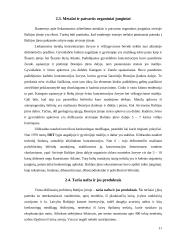 Baltijos jūros taršų atsiradimas ir jų likvidavimas 11 puslapis