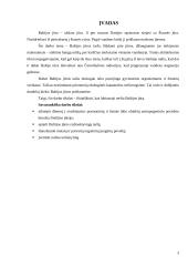 Baltijos jūros taršų atsiradimas ir jų likvidavimas 3 puslapis