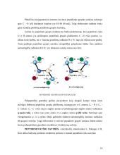 Baltymai. Baltymų pirminė struktūra 14 puslapis