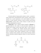 Baltymai. Baltymų pirminė struktūra 16 puslapis
