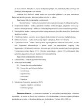 Bankų sistema ir samprata 4 puslapis