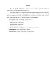 Bankų steigimo analizė 2 puslapis