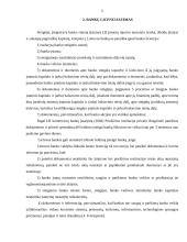 Bankų steigimo analizė 4 puslapis