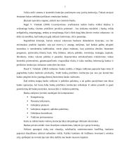 Bankų steigimo analizė 6 puslapis
