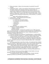 Bankai: kilmė ir funkcijos 3 puslapis