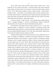 Bankininkystės raida Lietuvoje 6 puslapis