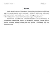 Bankroto procesas 2 puslapis