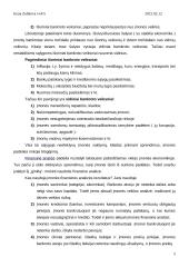 Bankroto procesas 4 puslapis