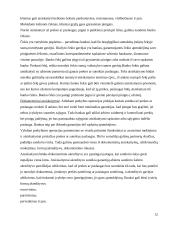 Bankų paslaugos fiziniams asmenims 11 puslapis