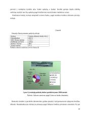 Bankų paslaugos fiziniams asmenims 17 puslapis