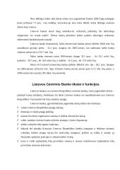 Bankų sistemos raida Lietuvoje 6 puslapis