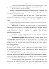 Bankų vaidmuo rinkos ekonomikoje 11 puslapis