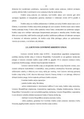 Bankų vaidmuo rinkos ekonomikoje 13 puslapis